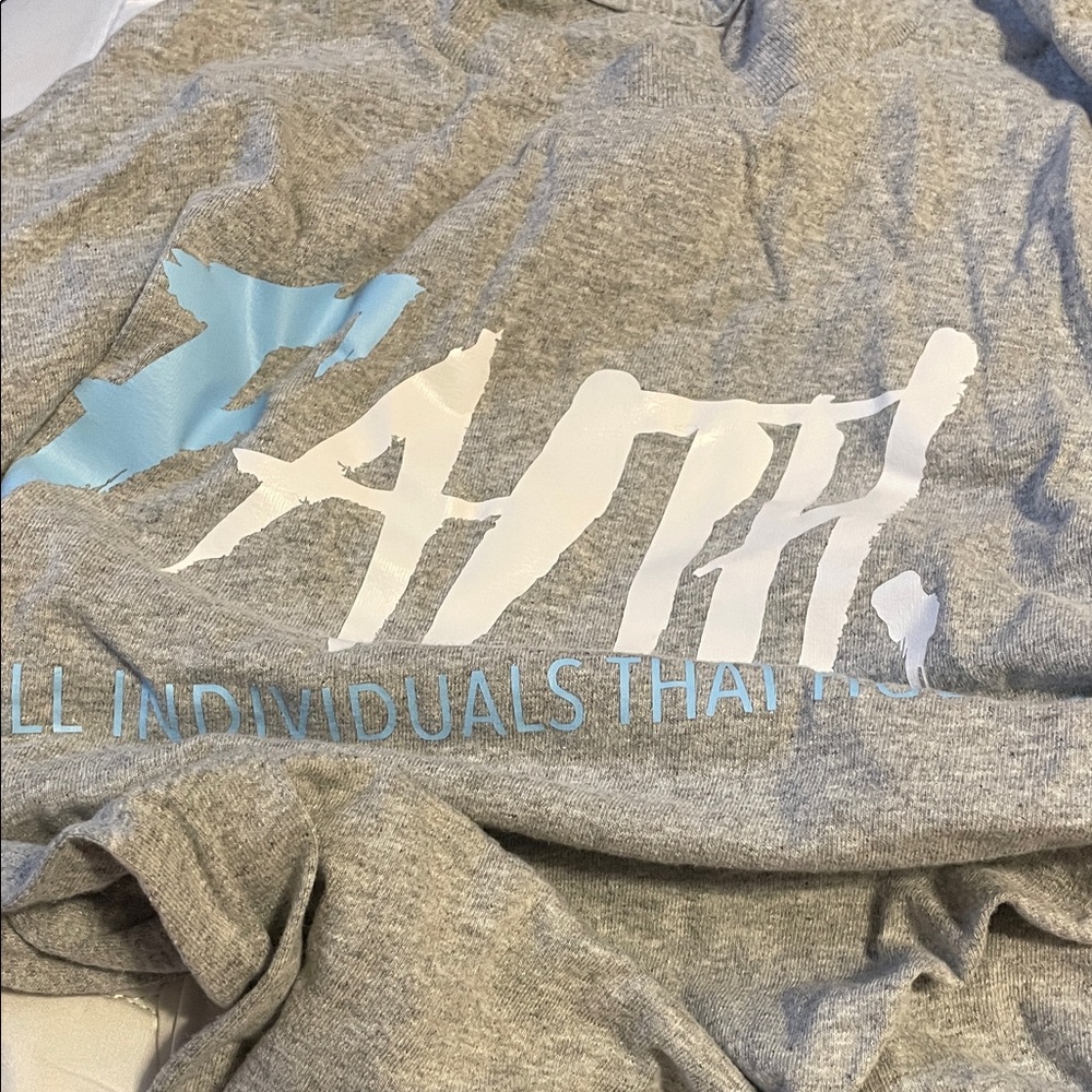 Gray Graphic T-Shirt with Blue and White Print